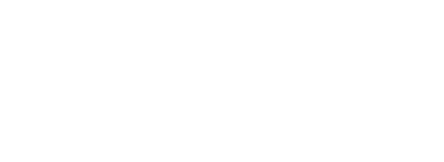 Logo VINCI